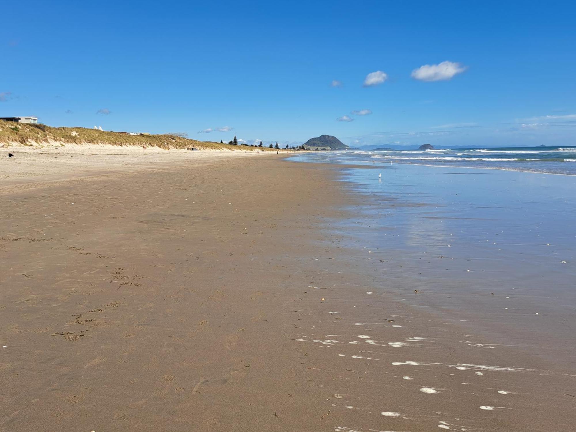 Sunbrae Beach Sanctuary Free High Fibre Wifi Mount Maunganui Dış mekan fotoğraf